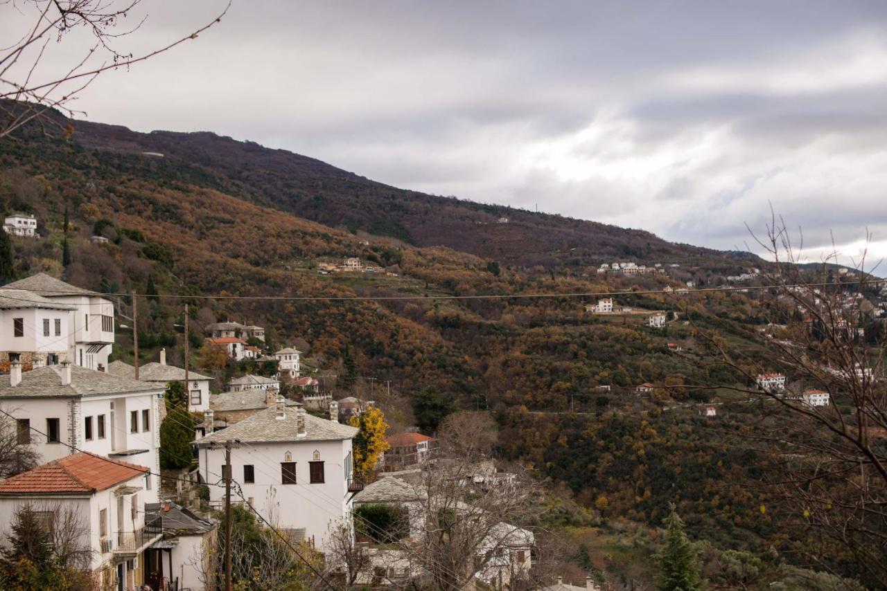 Charis Guesthouse Makrinitsa Exterior photo